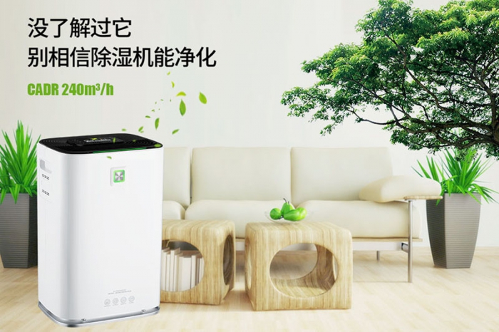 一到回南天狗狗就感冒+皮膚病，怎么辦？