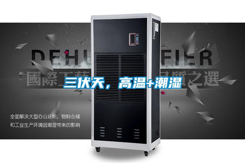 三伏天，高溫+潮濕