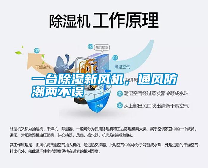 一臺除濕新風(fēng)機，通風(fēng)防潮兩不誤