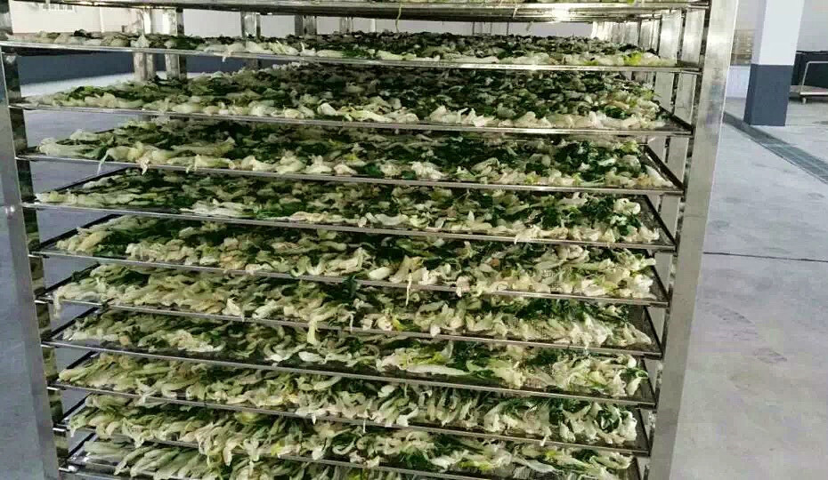 菜干需求一直都很大,蔬菜烘干機(jī)很有市場