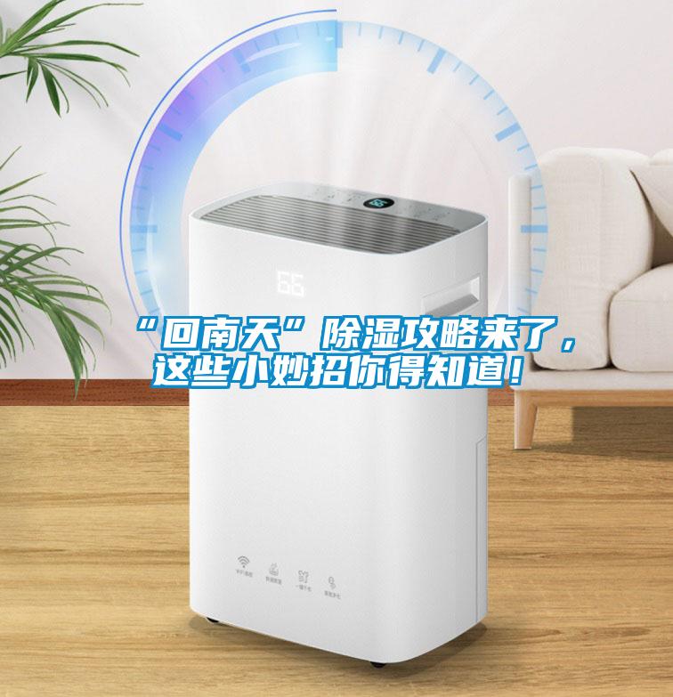 “回南天”除濕攻略來了，這些小妙招你得知道！