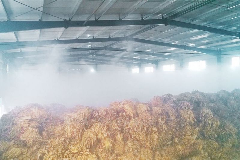 提升煙葉加工質(zhì)量,高效回潮很重要