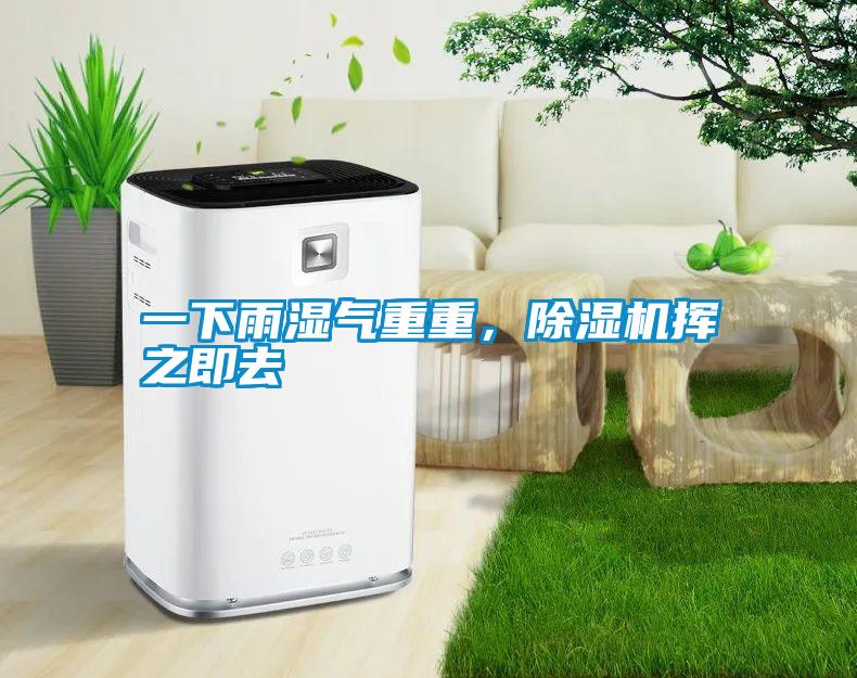 一下雨濕氣重重，除濕機揮之即去