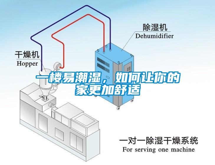 一樓易潮濕，如何讓你的家更加舒適
