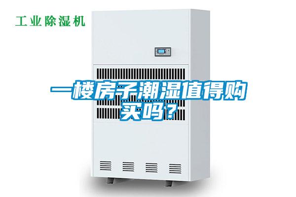 一樓房子潮濕值得購買嗎？