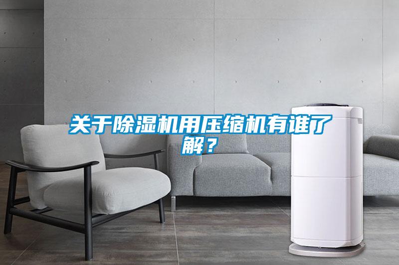 關(guān)于除濕機用壓縮機有誰了解？