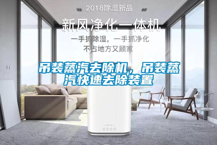 吊裝蒸汽去除機(jī)，吊裝蒸汽快速去除裝置