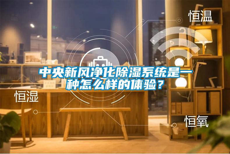 中央新風凈化除濕系統(tǒng)是一種怎么樣的體驗？