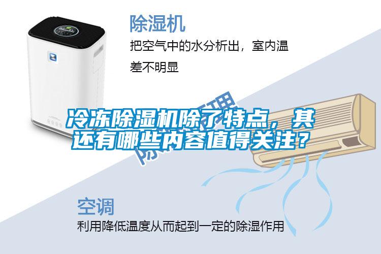 冷凍除濕機除了特點，其還有哪些內(nèi)容值得關注？