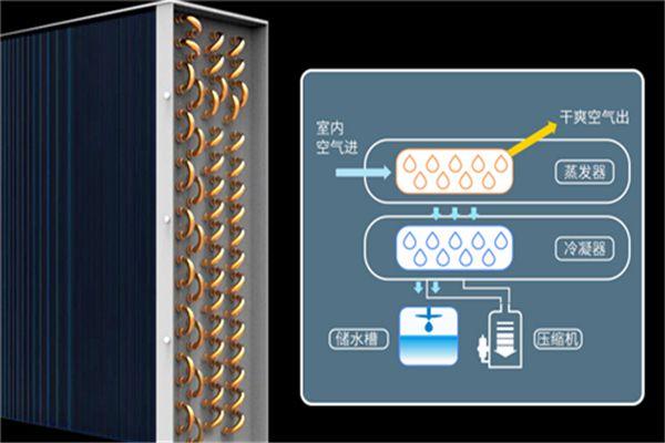 冷庫(kù)消毒用什么好？冷庫(kù)霧化消毒機(jī)