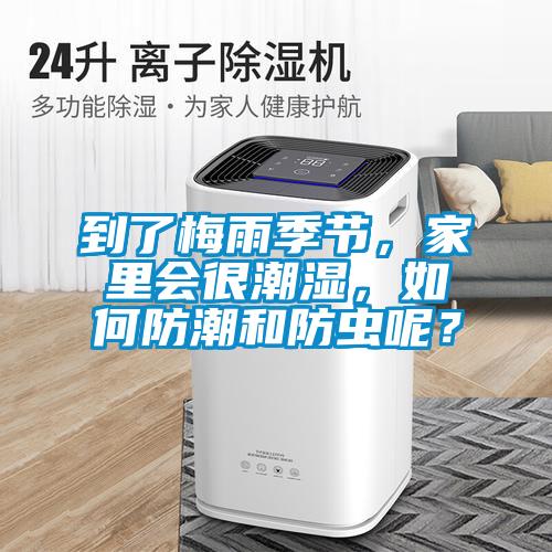 到了梅雨季節，家里會很潮濕，如何防潮和防蟲呢？