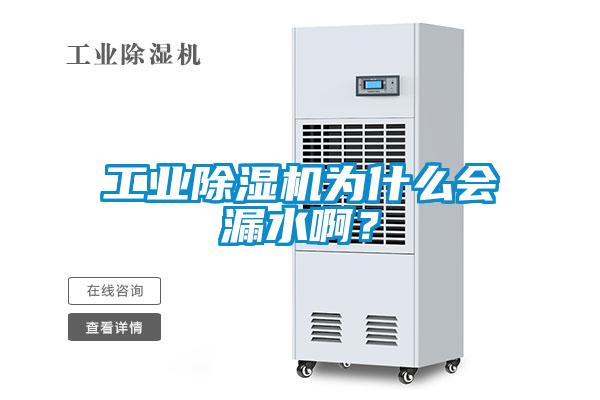 工業(yè)除濕機(jī)為什么會(huì)漏水啊？