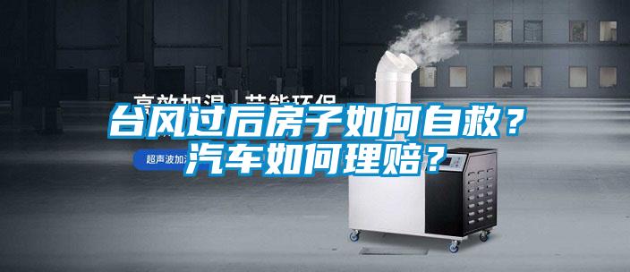臺風過后房子如何自救?汽車如何理賠?