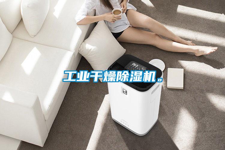 工業(yè)干燥除濕機。