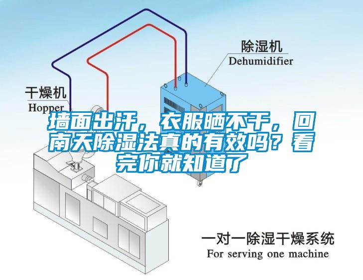 墻面出汗，衣服曬不干，回南天除濕法真的有效嗎？看完你就知道了