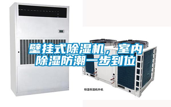 壁掛式除濕機(jī)，室內(nèi)除濕防潮一步到位