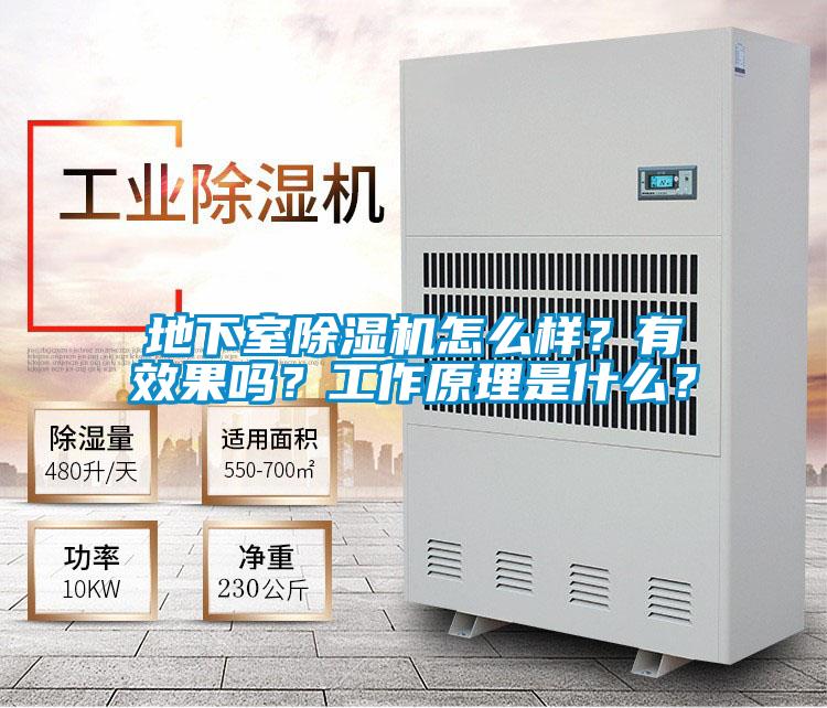 地下室除濕機怎么樣？有效果嗎？工作原理是什么？
