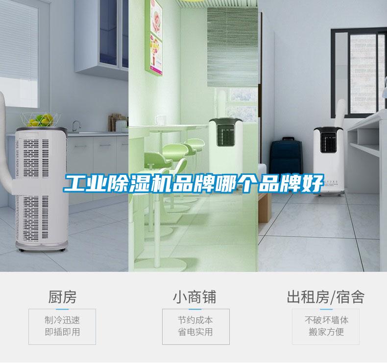 工業(yè)除濕機品牌哪個品牌好