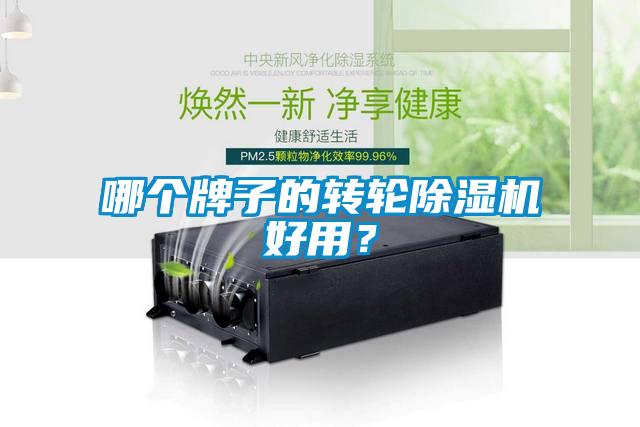 哪個牌子的轉(zhuǎn)輪除濕機(jī)好用？