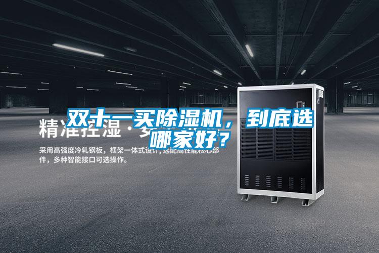 雙十一買除濕機，到底選哪家好？