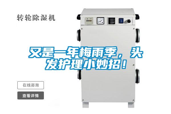 又是一年梅雨季，頭發護理小妙招！