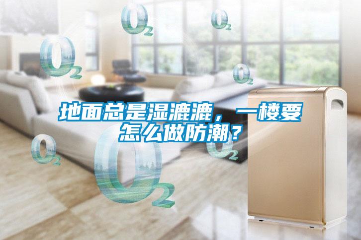 地面總是濕漉漉，一樓要怎么做防潮？