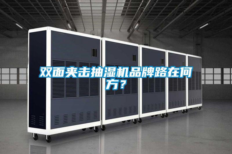 雙面夾擊抽濕機(jī)品牌路在何方？