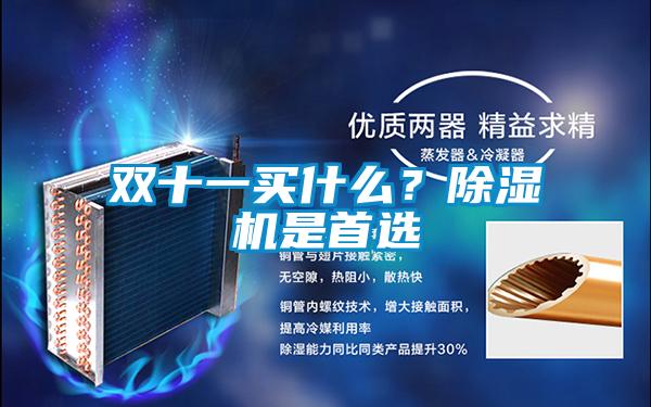 雙十一買什么?除濕機是首選