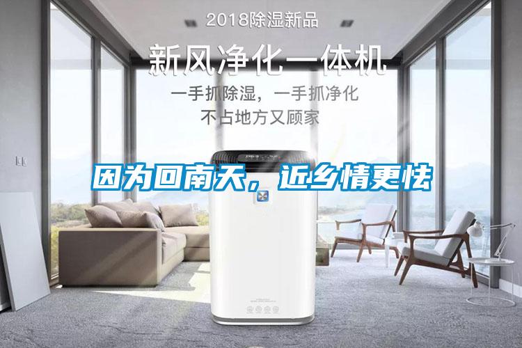 因為回南天，近鄉情更怯