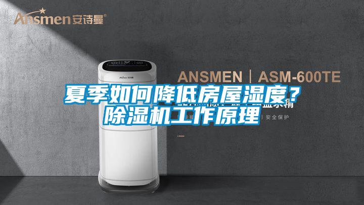 夏季如何降低房屋濕度?除濕機(jī)工作原理