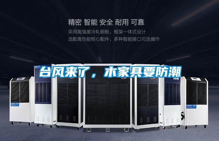 臺(tái)風(fēng)來了，木家具要防潮