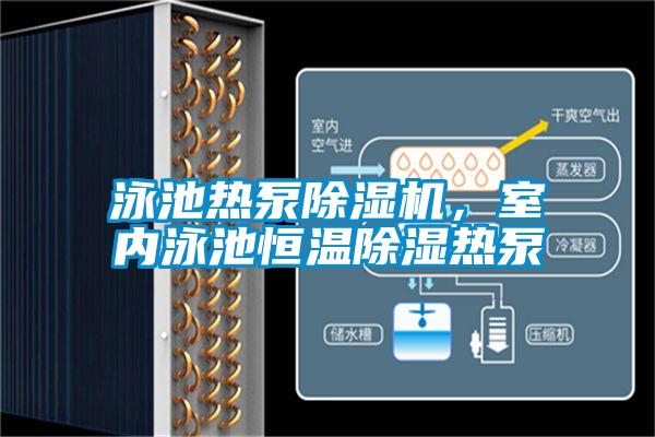 泳池?zé)岜贸凉駲C(jī),室內(nèi)泳池恒溫除濕熱泵