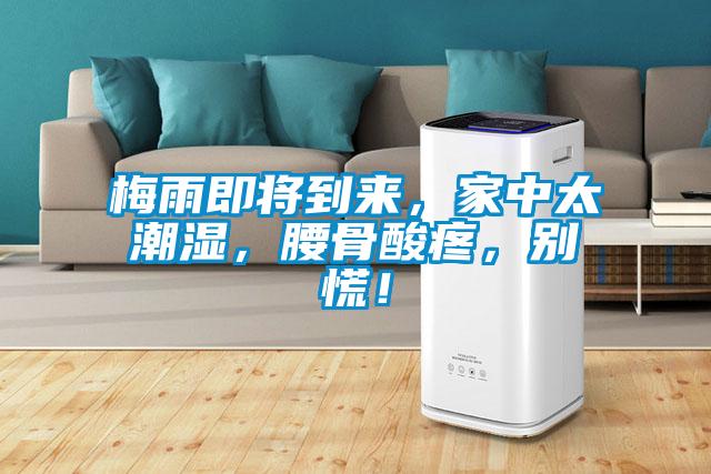 梅雨即將到來(lái)，家中太潮濕，腰骨酸疼，別慌！