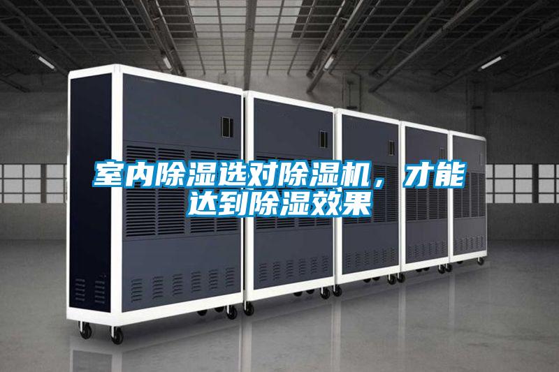 室內(nèi)除濕選對除濕機(jī)，才能達(dá)到除濕效果