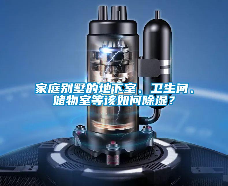 家庭別墅的地下室、衛生間、儲物室等該如何除濕？