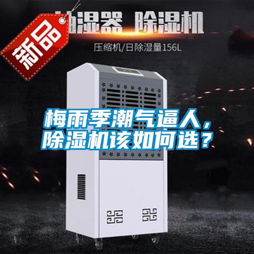梅雨季潮氣逼人，除濕機(jī)該如何選？
