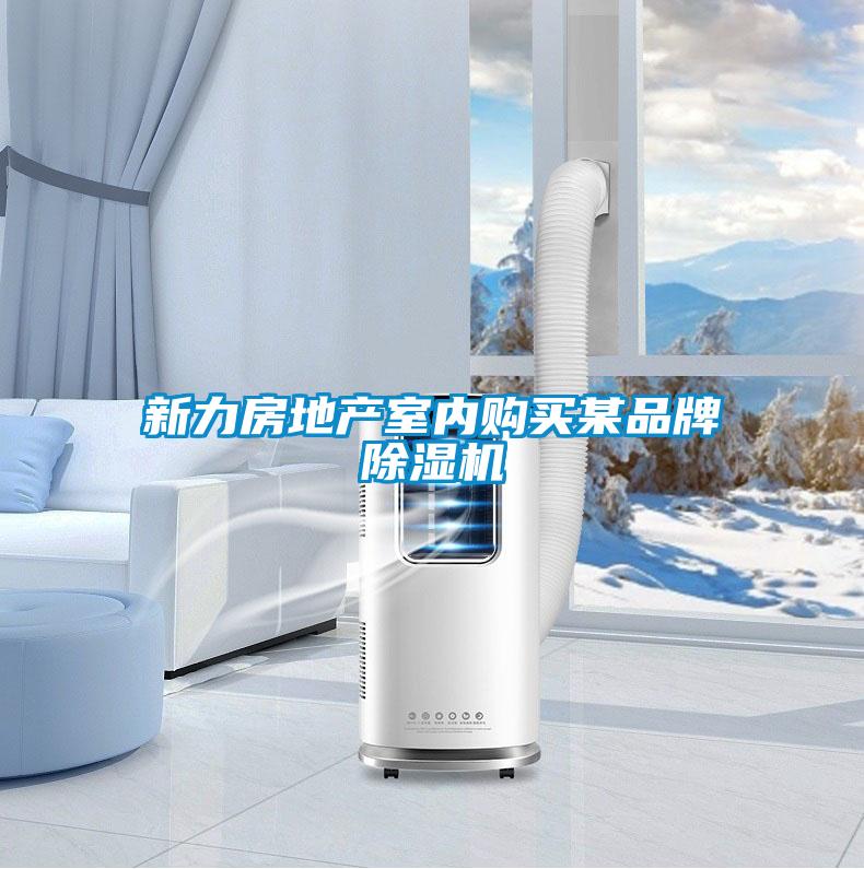 新力房地產(chǎn)室內購買某品牌除濕機