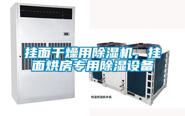 掛面干燥用除濕機(jī)，掛面烘房專用除濕設(shè)備
