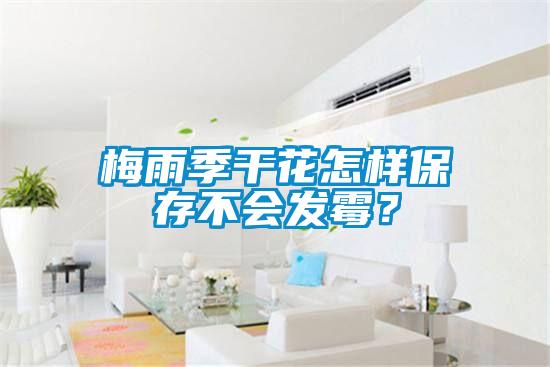 梅雨季干花怎樣保存不會發霉？