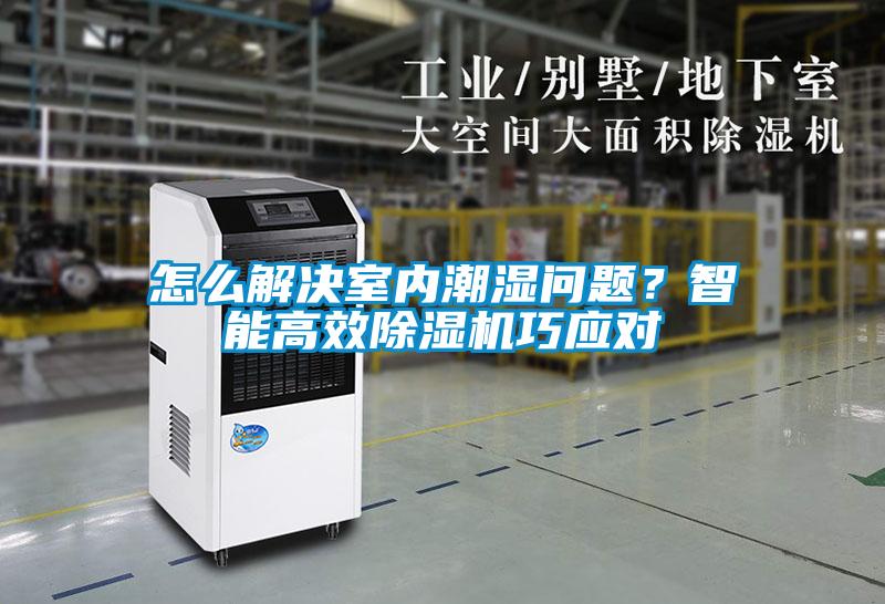 怎么解決室內潮濕問題？智能高效除濕機巧應對