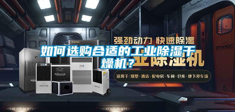 如何選購合適的工業除濕干燥機？