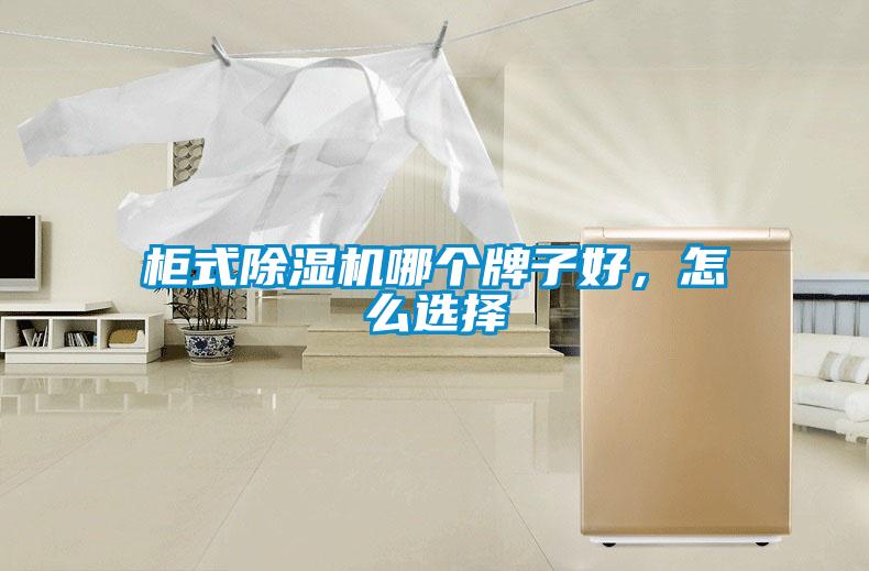 柜式除濕機(jī)哪個(gè)牌子好，怎么選擇