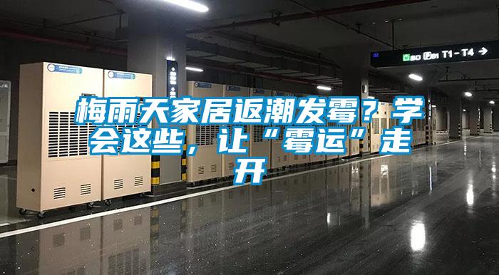 梅雨天家居返潮發(fā)霉？學(xué)會(huì)這些，讓“霉運(yùn)”走開