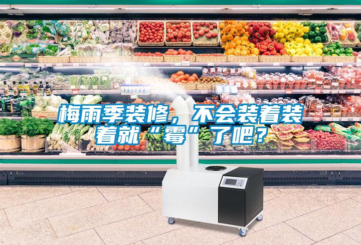 梅雨季裝修，不會裝著裝著就“霉”了吧？