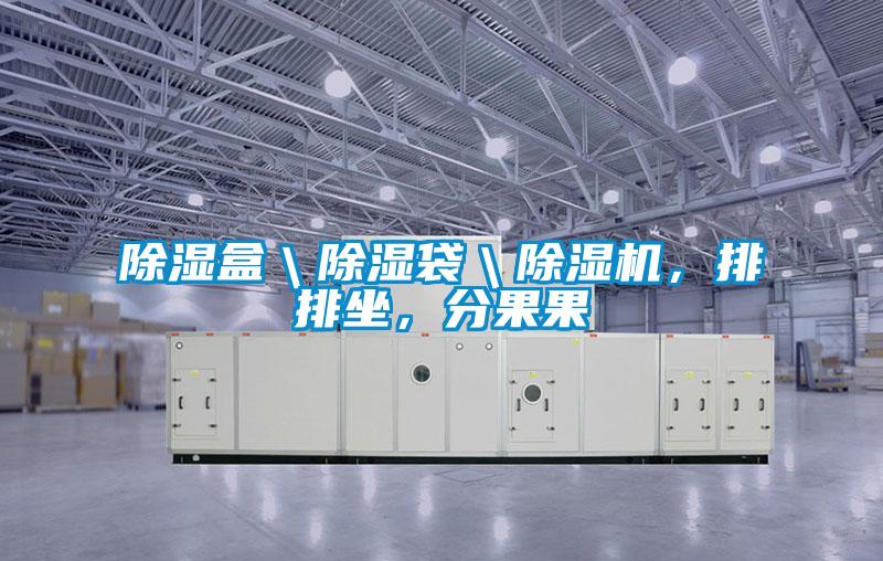 除濕盒＼除濕袋＼除濕機，排排坐，分果果