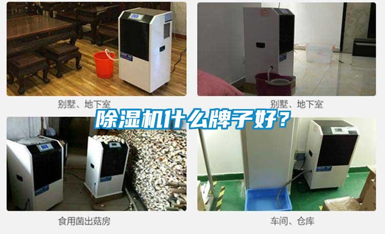 除濕機什么牌子好?