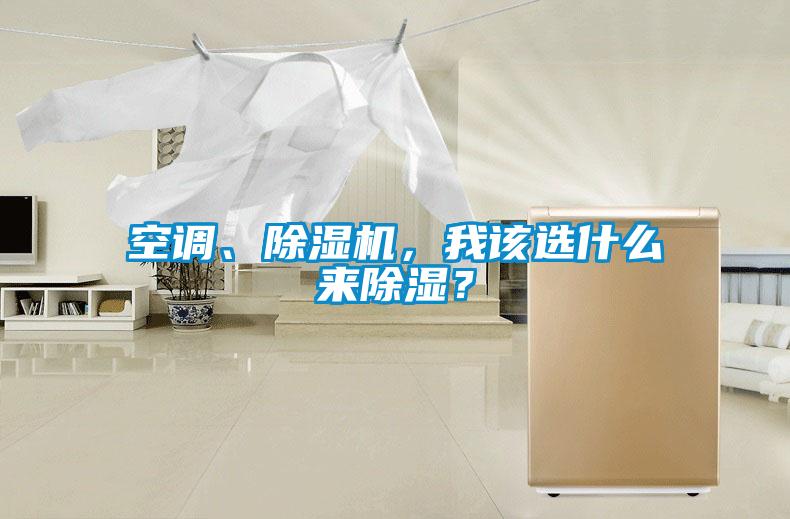 空調(diào)、除濕機(jī)，我該選什么來(lái)除濕？