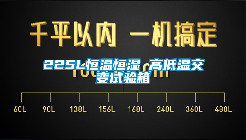 225L恒溫恒濕 高低溫交變試驗(yàn)箱