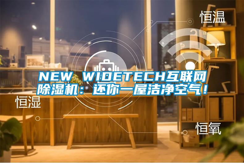 NEW WIDETECH互聯(lián)網(wǎng)除濕機:還你一屋潔凈空氣!