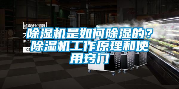 除濕機是如何除濕的？除濕機工作原理和使用竅門